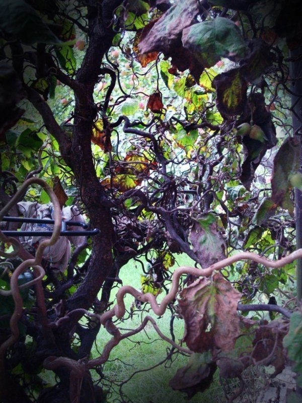 Фотовиставка Валентини Жуги